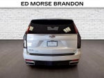 2024 Cadillac Escalade ESV Premium Luxury