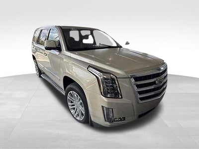 2015 Cadillac Escalade Standard