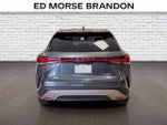 2024 Lexus RX RX 350