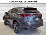 2023 Lexus NX NX 350 Premium