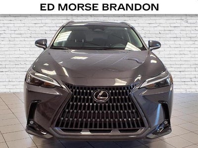 2023 Lexus NX NX 350 Premium