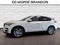 2019 Acura RDX w/Advance Pkg