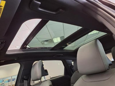2023 Kia Sportage X-Pro