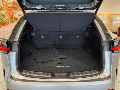 2023 LEXU NX250 NA
