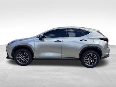 2023 LEXU NX250 NA