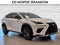 2019 Lexus NX NX 300