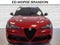 2024 Alfa Romeo Stelvio Quadrifoglio