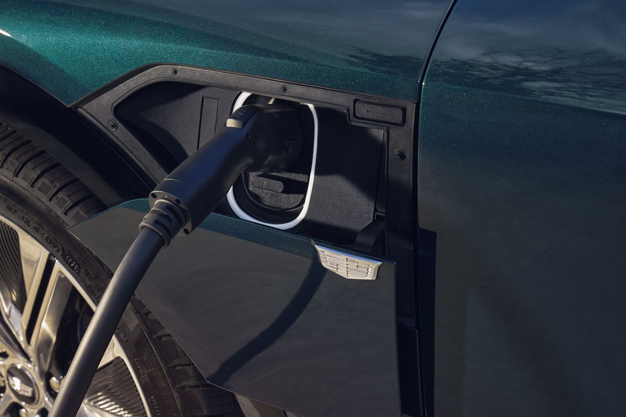 Ed Morse Cadillac Brandon FL in Brandon FL