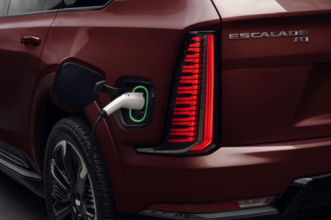 Ed Morse Cadillac Brandon FL in Brandon FL