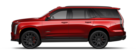 Ed Morse Cadillac Brandon FL in Brandon FL